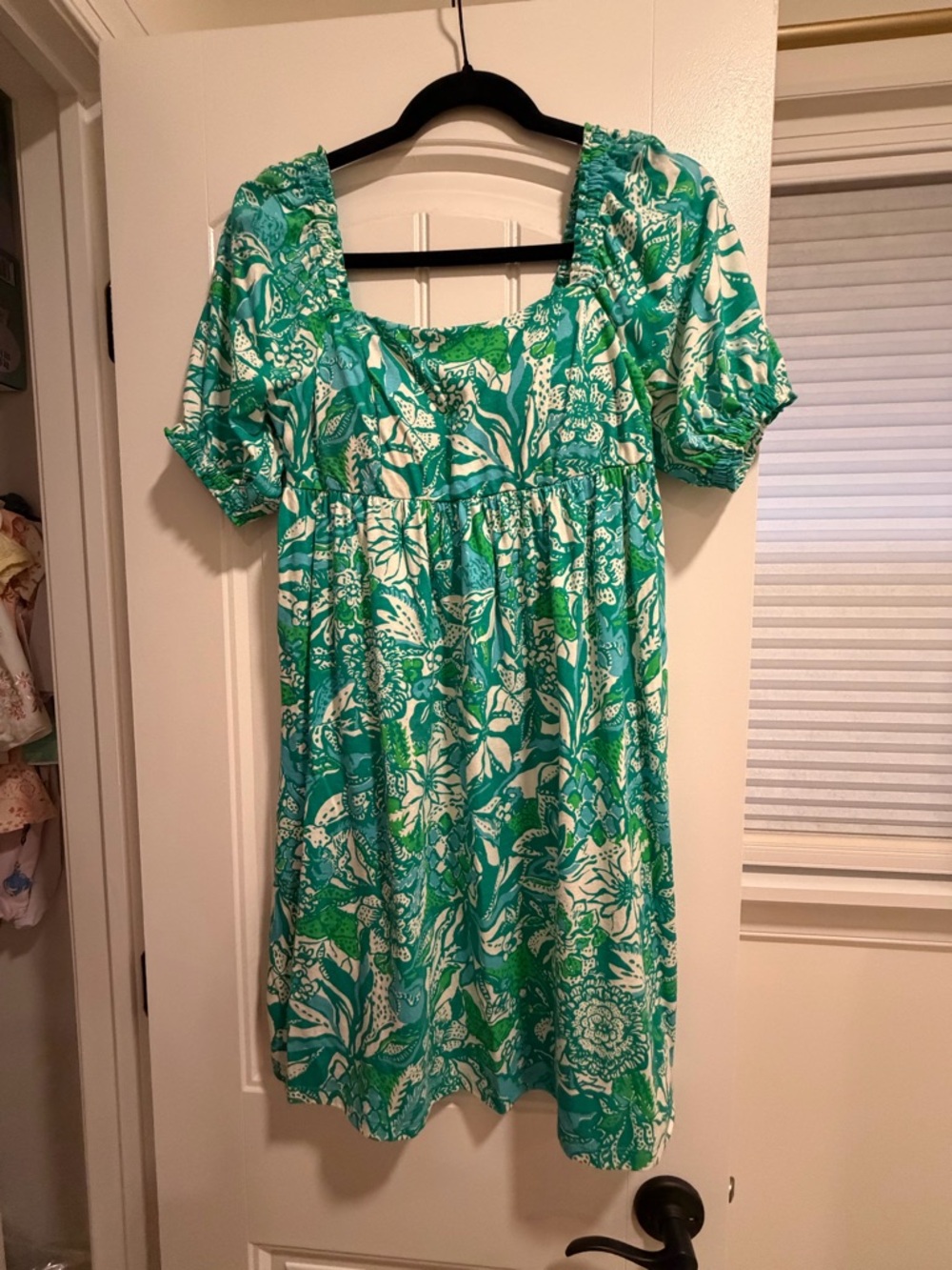 Lilly Pulitzer Green and White Floral Mini Dress